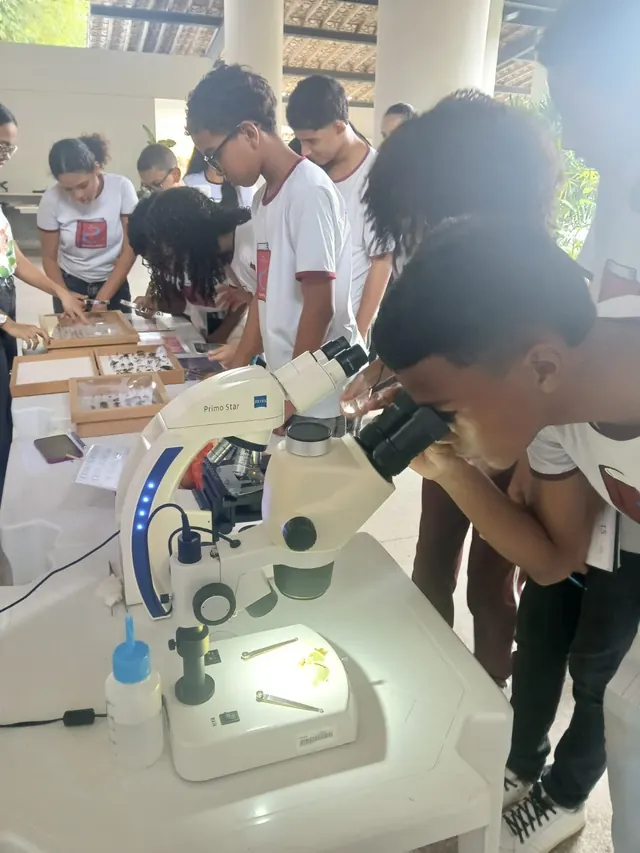 Aluno observando uma amostra no microscópio